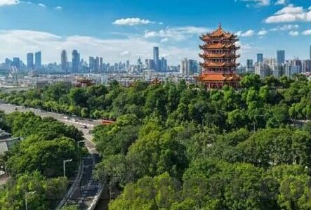 東方足球比分-东方足球风云，比分背后的热血与梦想