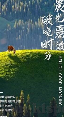 竞猜足球直播比分-竞猜足球直播比分，激情与智慧的碰撞，球迷的狂欢盛宴
