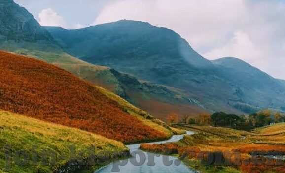 日本踢足球比分-日本足球，比分背后的崛起之路与竞技风云
